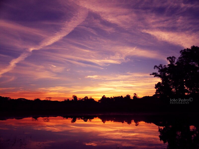 Sunset over Lake — Purple, Serene, Photograph, Sky, Trees