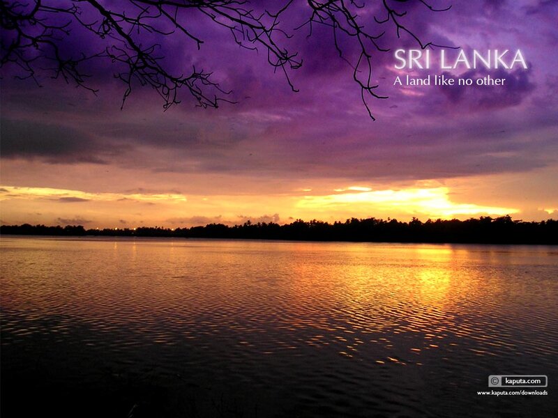 Sunset over Lake — Purple, Serene, Photograph, Tree Branches