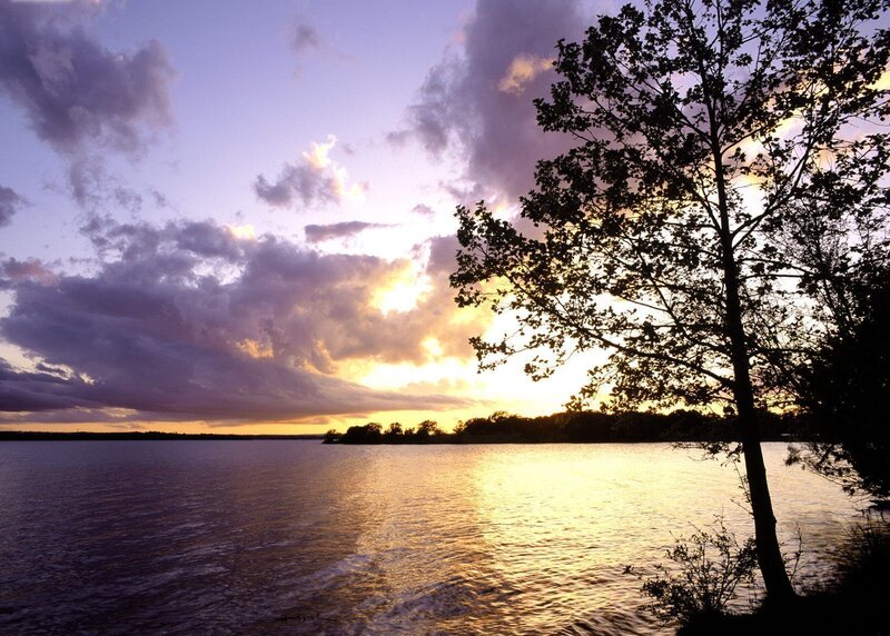 Sunset over Lake — Purple, Serene, Photograph, Tree, Clouds, Water, Yellow, Blue