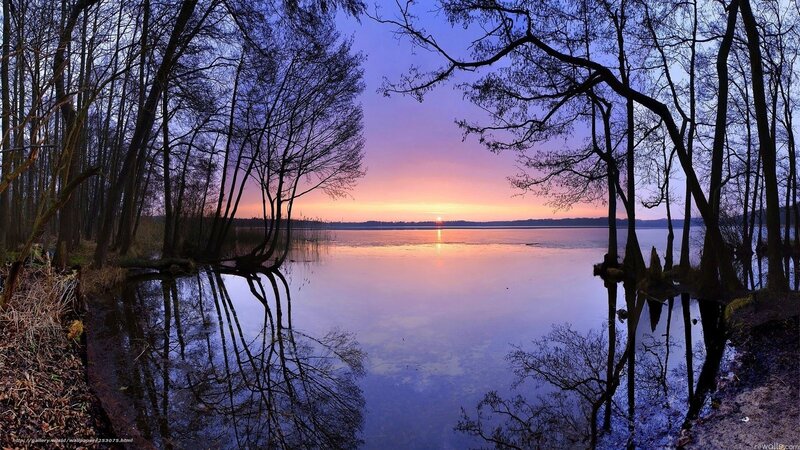 Sunset over Lake — Purple, Serene, Photograph, Trees, Reflection