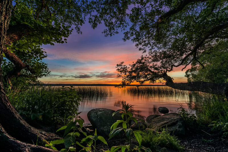 Sunset over Lake — Purple, Serene, Photograph, Trees, Rocks