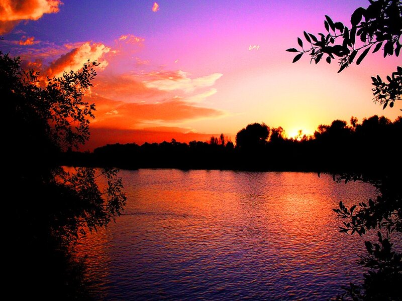 Sunset over Lake — Purple, Serene, Photograph, Trees, Sky, Water