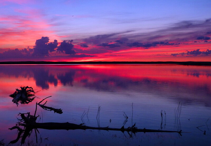 Sunset over Lake — Red, Dramatic, Photograph, Clouds, Driftwood