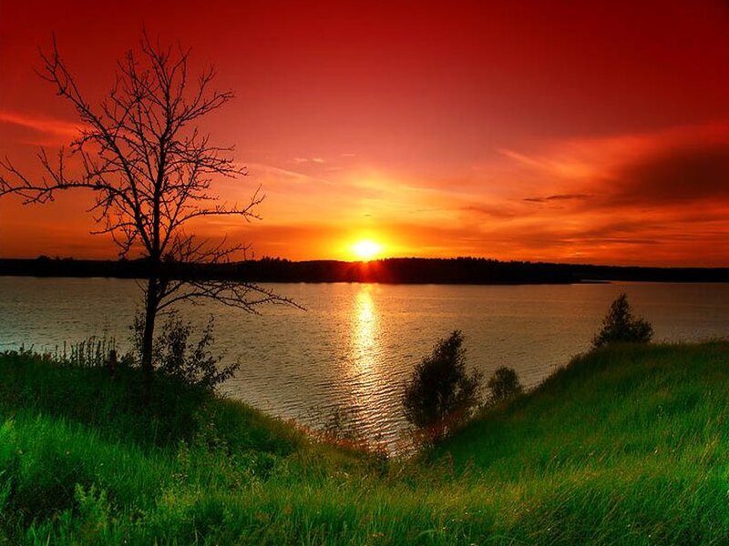 Sunset over Lake — Red, Dramatic, Photograph, Tree