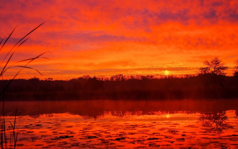 Sunset over Lake — Red, Dramatic, Photograph, Trees, Clouds