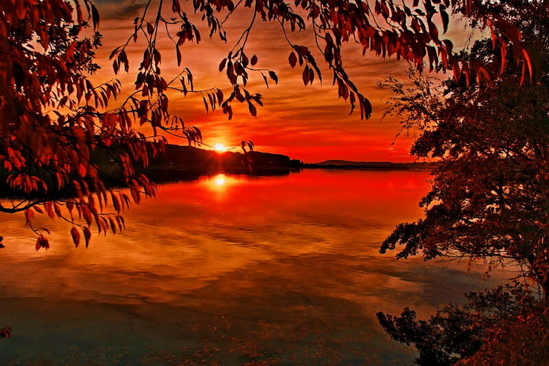 Sunset over Lake — Red, Dramatic, Photograph, Trees, Leaves