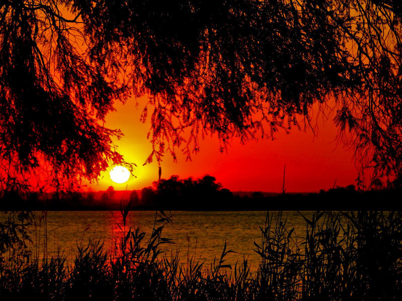 Sunset over Lake — Red, Dramatic, Photograph, Trees, Sky, Water, Reeds