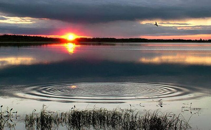Sunset over Lake — Red, Serene, Photograph, Bird