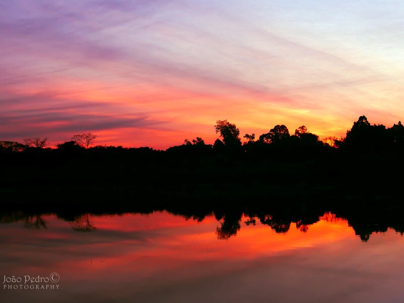 Sunset over Lake — Red, Serene, Photograph, Trees