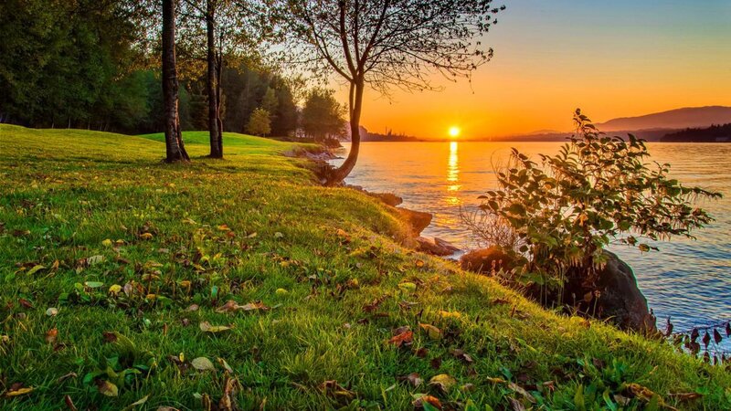 Sunset over Lake Shore — Green