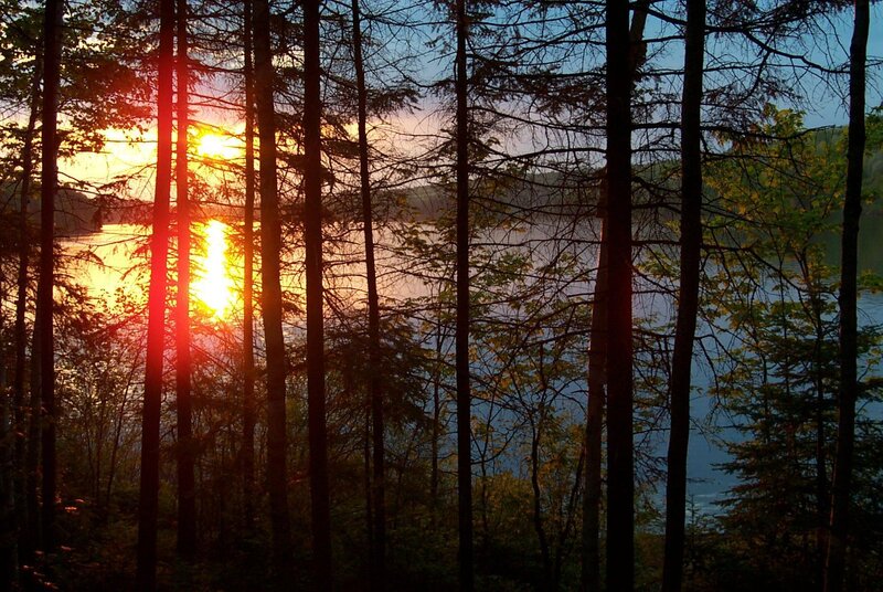 Sunset over Lake Through Trees