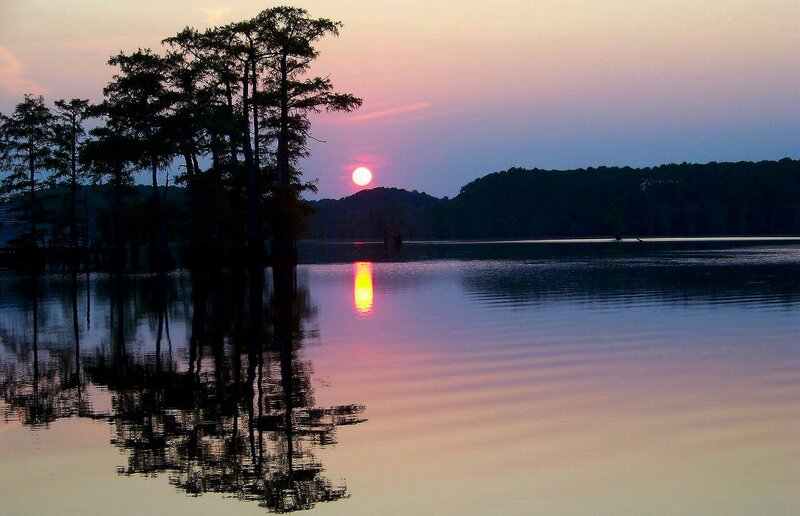 Sunset over Lake with Cypress Trees