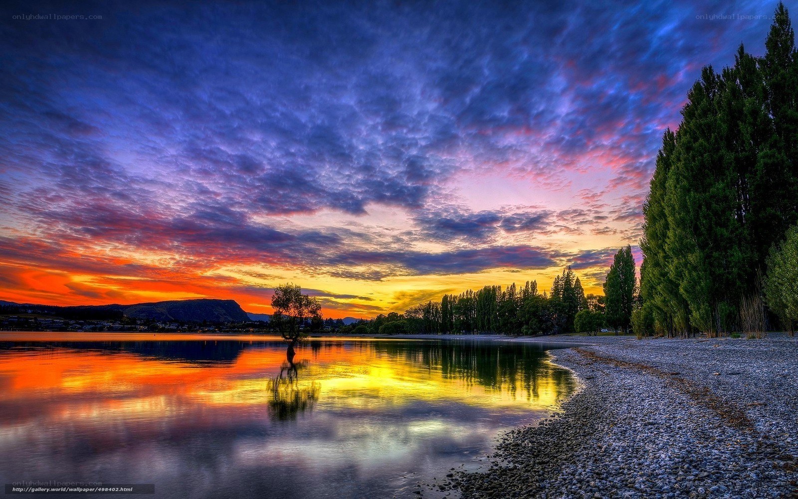 sunset over lake with lone tree