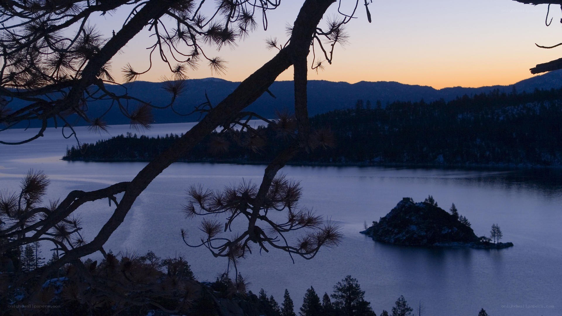 sunset over lake with pine branches