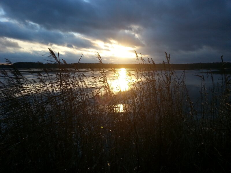 Sunset over Lake with Reeds — Blue, Dramatic