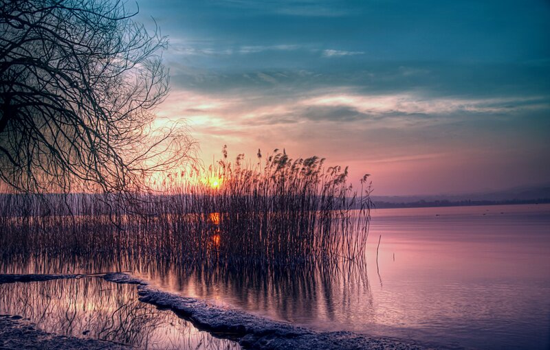 Sunset over Lake with Reeds — Blue, Serene