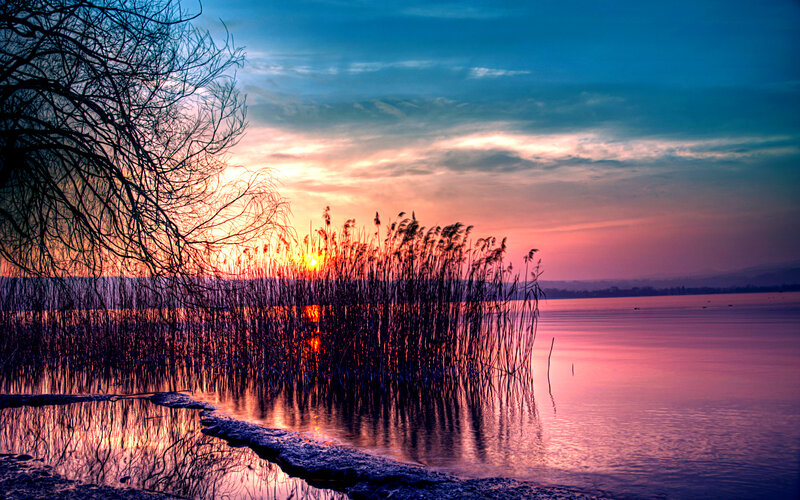 Sunset over Lake with Reeds — Blue