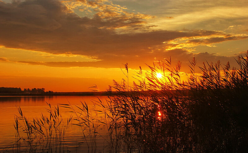 Sunset over Lake with Reeds — Orange, Serene