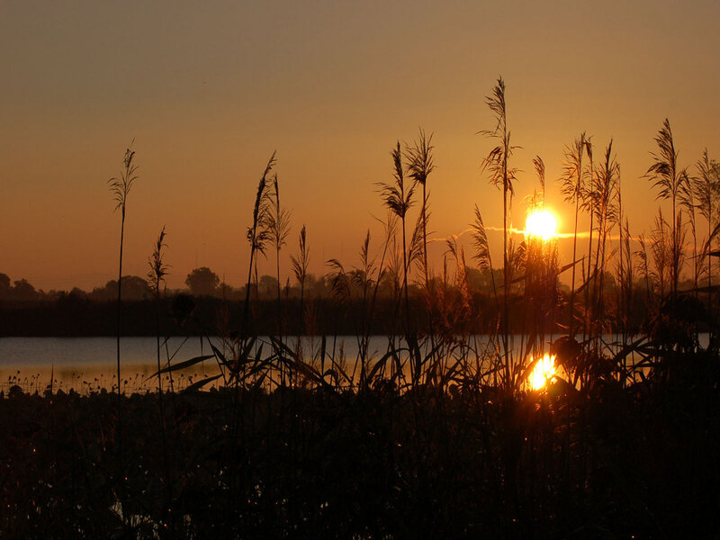 Sunset over Lake with Reeds — Orange