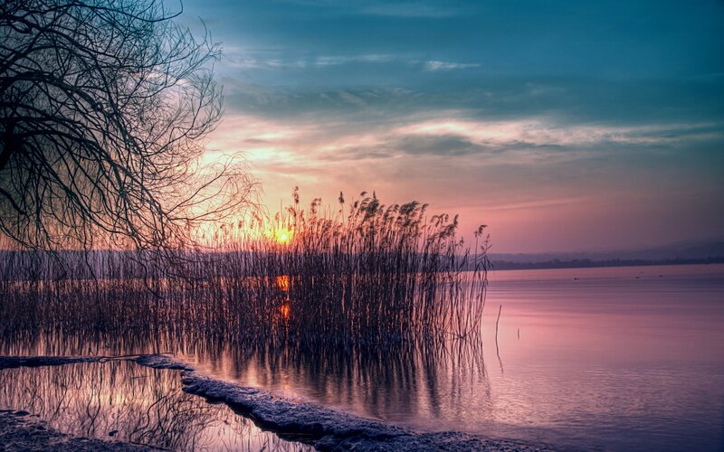 Sunset over Lake with Reeds — Purple, Serene