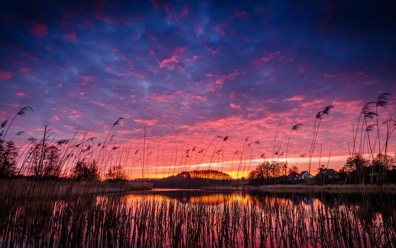 Sunset over Lake with Reeds — Purple
