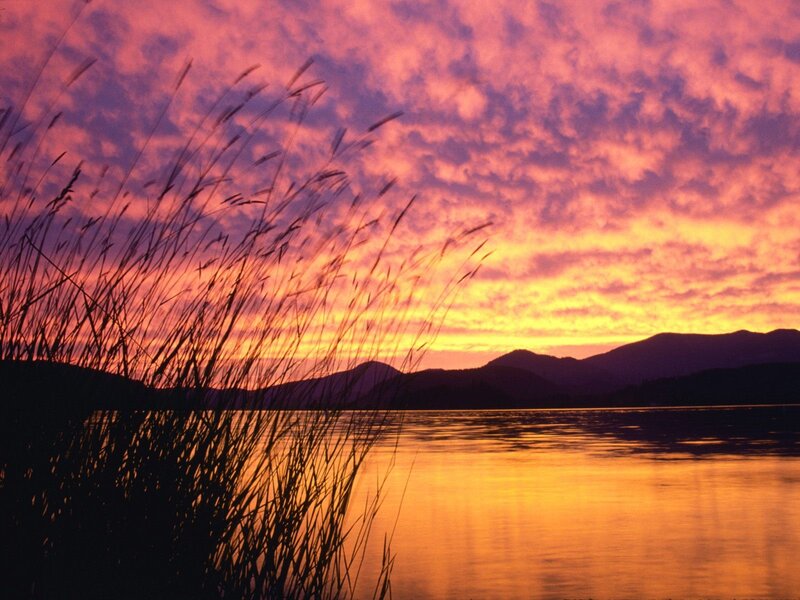 Sunset over lake with reeds