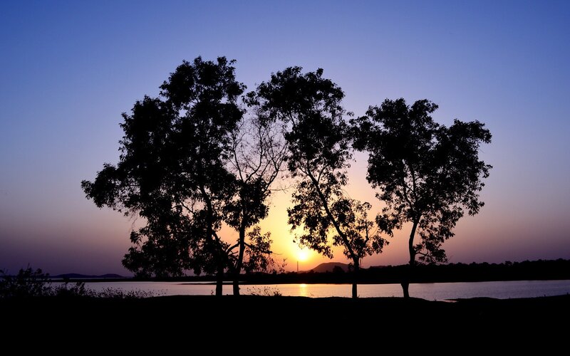 Sunset over lake with trees