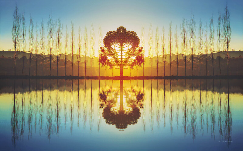 Sunset over Lake with Trees — Blue
