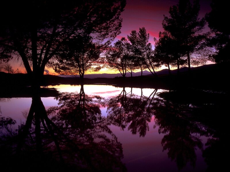 sunset over lake with trees
