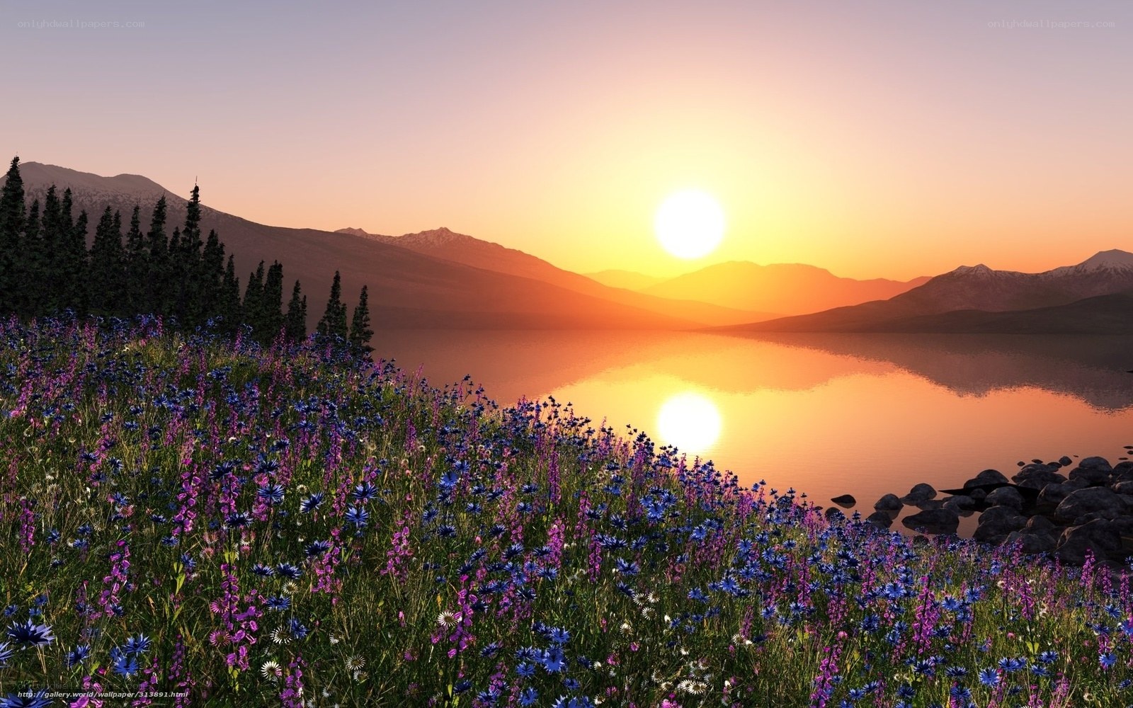 Sunset over lake with wildflowers
