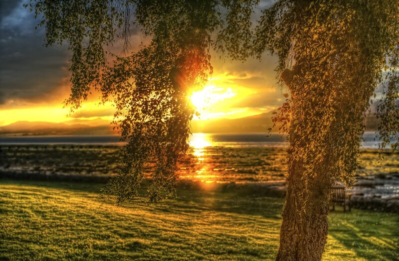Sunset over Lake — Yellow, Dramatic, Photograph, Tree