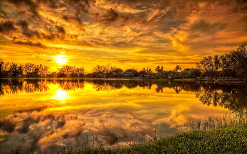 Sunset over Lake — Yellow, Dramatic, Photograph, Trees, Sky, Reflection
