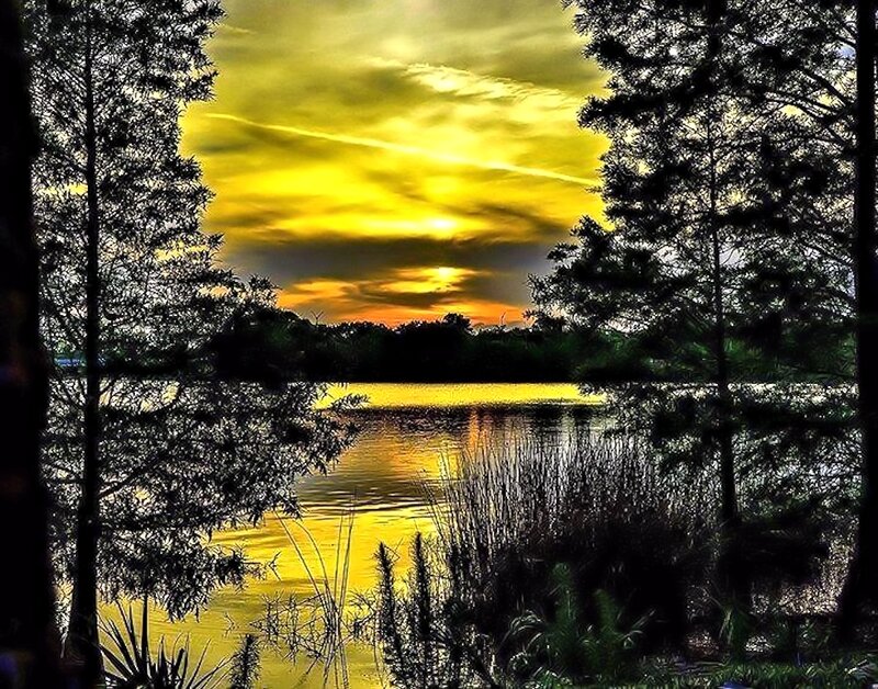 Sunset over Lake — Yellow, Dramatic, Photograph, Trees, Sky, Water