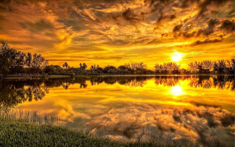 Sunset over Lake — Yellow, Dramatic, Photograph, Trees