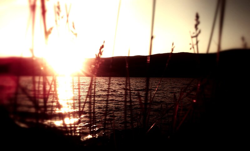 Sunset over Lake — Yellow, Serene, Photograph, Grass