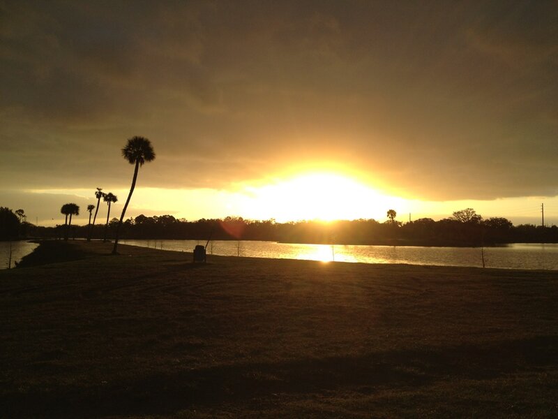 Sunset over Lake — Yellow, Serene, Photograph, Palm Trees