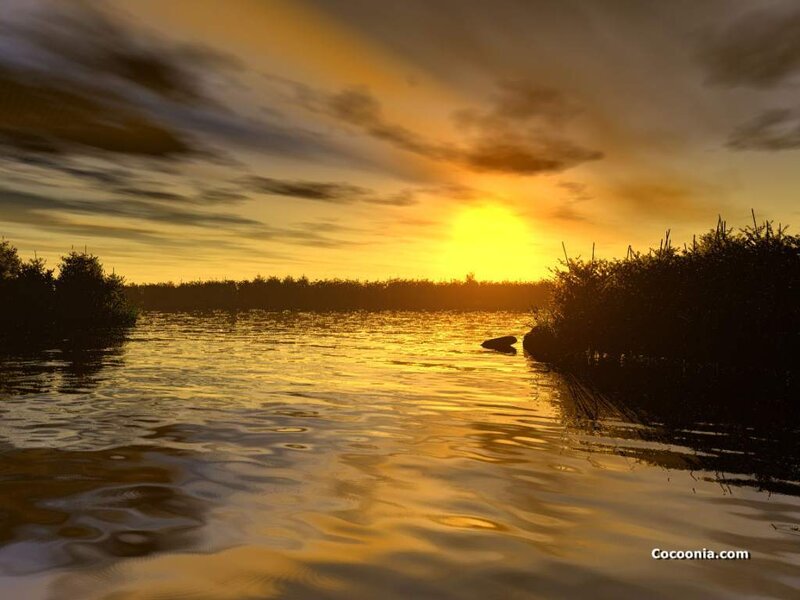 Sunset over Lake — Yellow, Serene, Photograph, Sky, Trees, Water