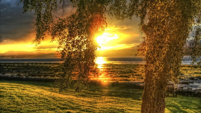 Sunset over Lake — Yellow, Serene, Photograph, Tree, Bench
