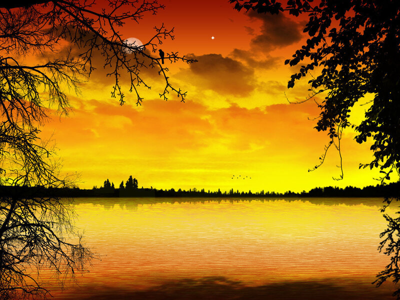 Sunset over Lake — Yellow, Serene, Photograph, Tree Branches