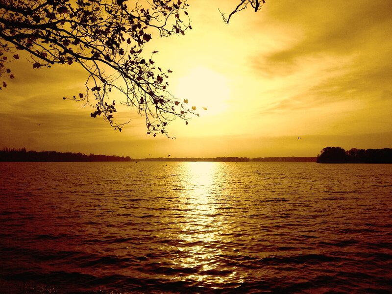 Sunset over Lake — Yellow, Serene, Photograph, Tree Branches, Water