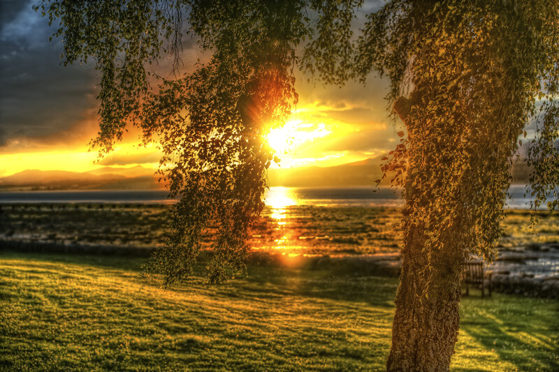Sunset over Lake — Yellow, Serene, Photograph, Tree