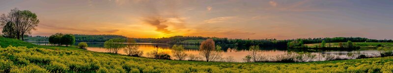 Sunset over Lake — Yellow, Serene, Photograph, Trees, Flowers