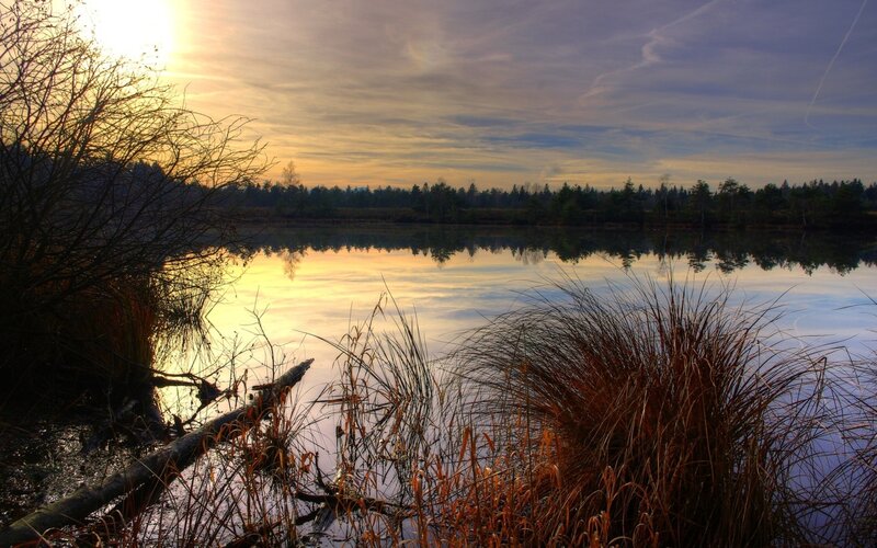 Sunset over Lake — Yellow, Serene, Photograph, Trees, Grass