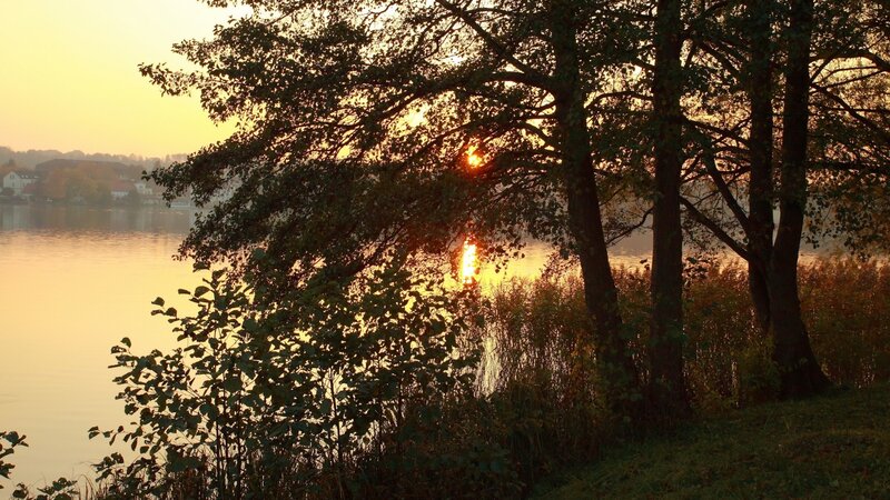 Sunset over Lake — Yellow, Serene, Photograph, Trees, Houses