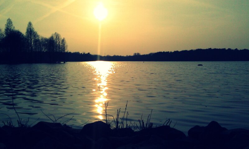 Sunset over Lake — Yellow, Serene, Photograph, Trees, Rocks