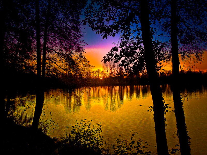 Sunset over Lake — Yellow, Serene, Photograph, Trees, Sky