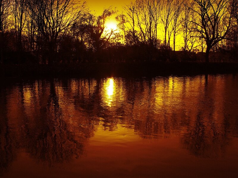 Sunset over Lake — Yellow, Serene, Photograph, Trees, Sun, Reflection