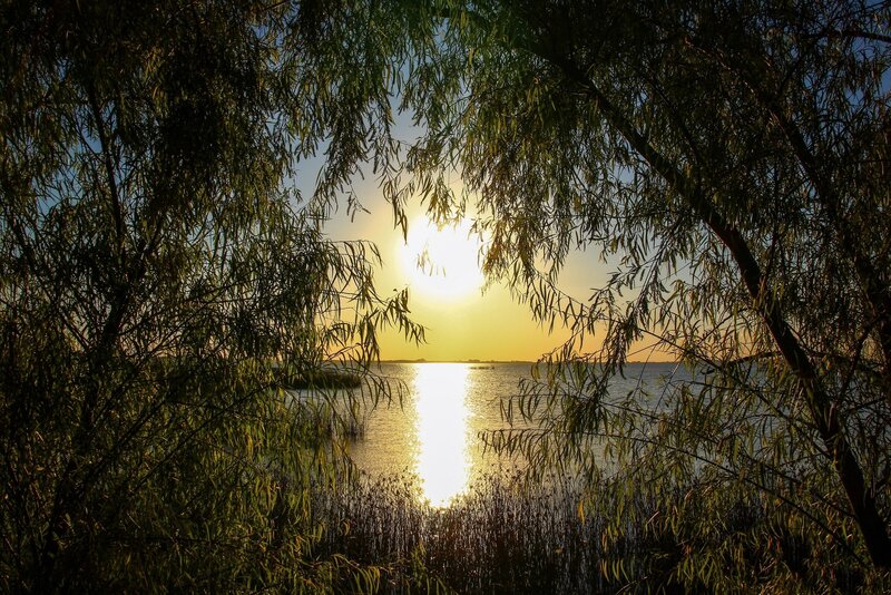 Sunset over Lake — Yellow, Serene, Photograph, Trees, Water