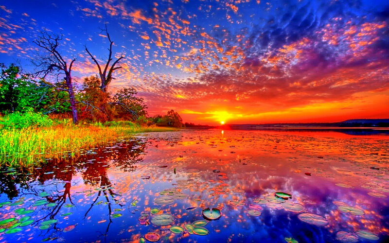 Sunset over Lily Pond — Blue