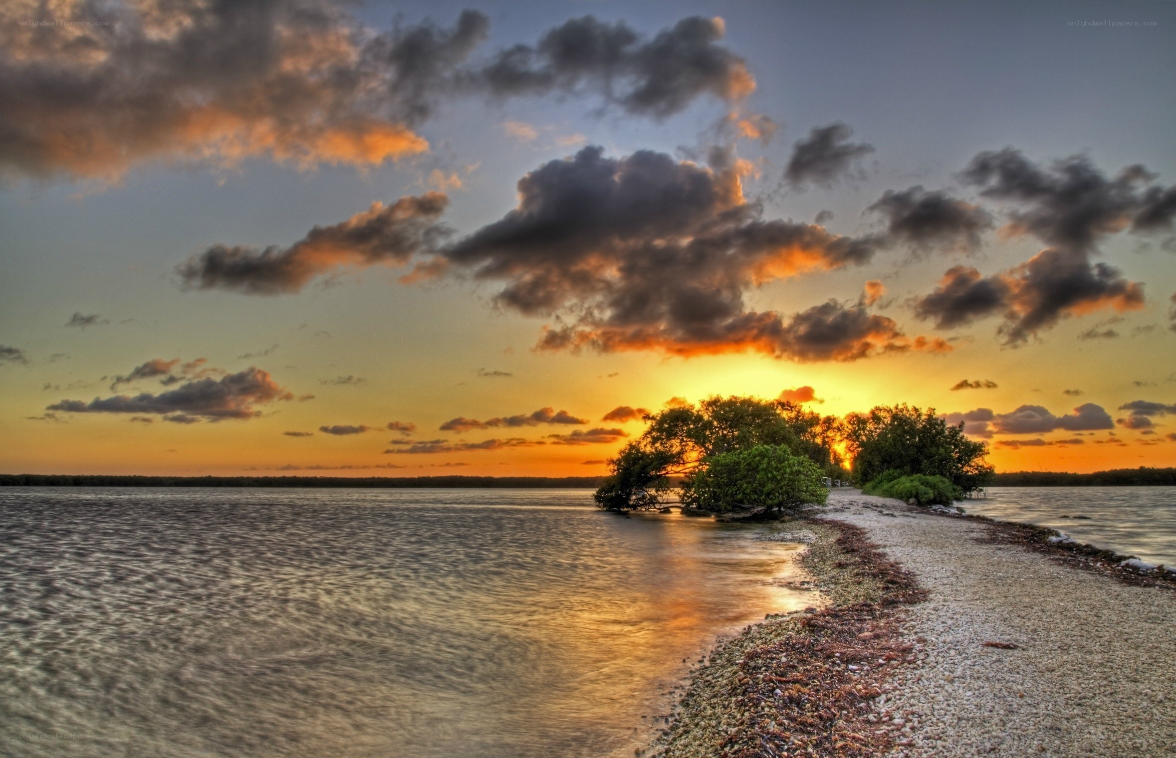 sunset over mangrove island